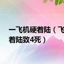一飞机硬着陆（飞机硬着陆致4死）