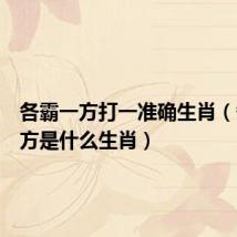 各霸一方打一准确生肖（各霸一方是什么生肖）