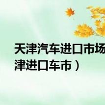 天津汽车进口市场（天津进口车市）