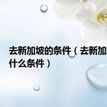 去新加坡的条件（去新加坡需要什么条件）