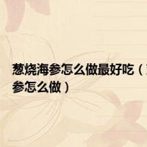 葱烧海参怎么做最好吃（葱烧海参怎么做）