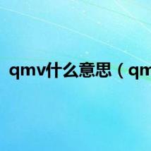 qmv什么意思(qmv)
