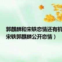 郭麒麟和宋轶恋情还有机会吗（宋轶郭麒麟公开恋情）