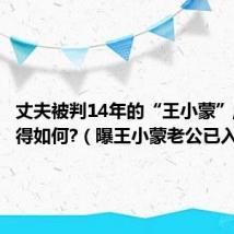 丈夫被判14年的“王小蒙”,现在过得如何?（曝王小蒙老公已入狱）