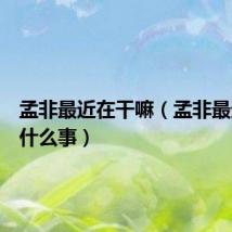 孟非最近在干嘛(孟非最近发生什么事)