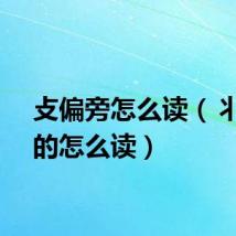 攴偏旁怎么读（丬偏旁的怎么读）