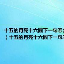 十五的月亮十六圆下一句怎么说呢（十五的月亮十六圆下一句怎么说）