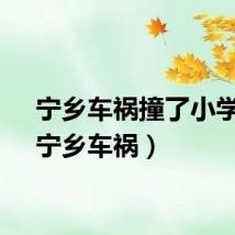 宁乡车祸撞了小学生（宁乡车祸）