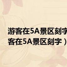 游客在5A景区刻字（游客在5A景区刻字）