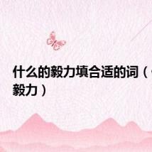 什么的毅力填合适的词(什么的毅力)