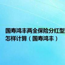 国寿鸿丰两全保险分红型满期后怎样计算(国寿鸿丰)