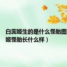 白蕊姬生的是什么怪胎图（白蕊姬怪胎长什么样）
