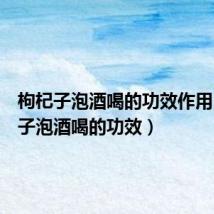 枸杞子泡酒喝的功效作用（枸杞子泡酒喝的功效）