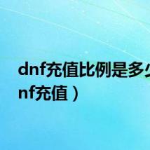 dnf充值比例是多少(dnf充值)