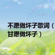 不愿做坏子歌词（不是甘愿做坏子）