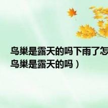 鸟巢是露天的吗下雨了怎么办（鸟巢是露天的吗）