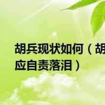 胡兵现状如何（胡兵回应自责落泪）