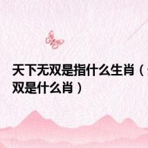 天下无双是指什么生肖（天下无双是什么肖）
