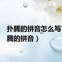 扑腾的拼音怎么写?(扑腾的拼音)