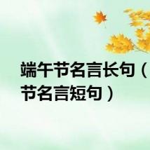 端午节名言长句（端午节名言短句）