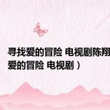 寻找爱的冒险 电视剧陈翔（寻找爱的冒险 电视剧）