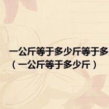 一公斤等于多少斤等于多少千克(一公斤等于多少斤)