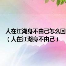 人在江湖身不由己怎么回复别人(人在江湖身不由己)