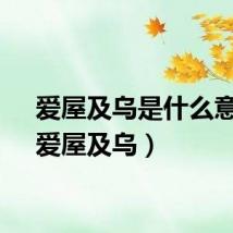 爱屋及乌是什么意思（爱屋及乌）
