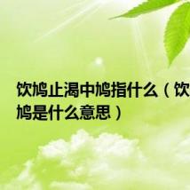 饮鸠止渴中鸠指什么(饮鸠止渴鸠是什么意思)