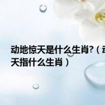 动地惊天是什么生肖?(动地惊天指什么生肖)