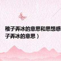 稚子弄冰的意思和思想感情(稚子弄冰的意思)