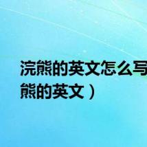 浣熊的英文怎么写（浣熊的英文）