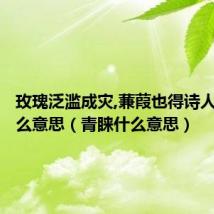 玫瑰泛滥成灾,蒹葭也得诗人青睐什么意思（青睐什么意思）