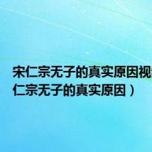 宋仁宗无子的真实原因视频(宋仁宗无子的真实原因)