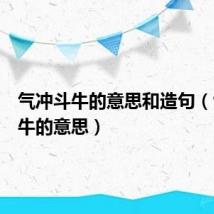 气冲斗牛的意思和造句(气冲斗牛的意思)
