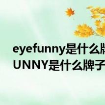 eyefunny是什么牌子（UNNY是什么牌子）