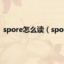 spore怎么读(spore)