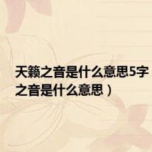 天籁之音是什么意思5字(天籁之音是什么意思)