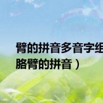 臂的拼音多音字组词(胳臂的拼音)