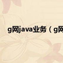 g网java业务（g网）