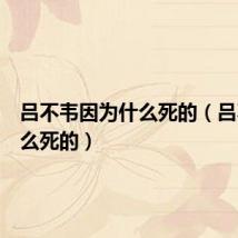 吕不韦因为什么死的（吕不韦怎么死的）
