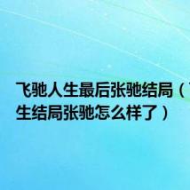 飞驰人生最后张驰结局（飞驰人生结局张驰怎么样了）