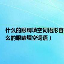 什么的眼睛填空词语形容词(什么的眼睛填空词语)