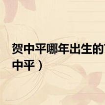 贺中平哪年出生的?(贺中平)