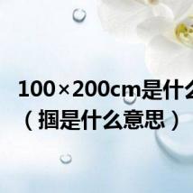 100×200cm是什么意思（掴是什么意思）