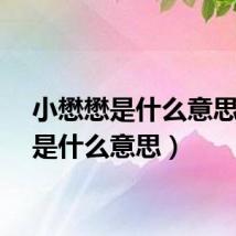小懋懋是什么意思(懋是什么意思)