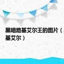 黑暗路基艾尔王的图片（黑暗路基艾尔）