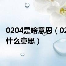 0204是啥意思（0204是什么意思）