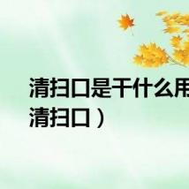 清扫口是干什么用的（清扫口）