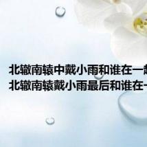 北辙南辕中戴小雨和谁在一起了(北辙南辕戴小雨最后和谁在一起了)